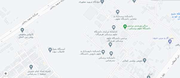 google map image